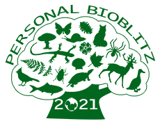 2021 Bioblitz logo, courtesy of Clayton Leadbetter
