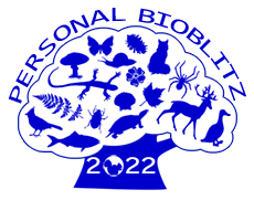 2022 Bioblitz logo, courtesy of Clayton Leadbetter