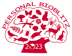 2023 Bioblitz logo, courtesy of Clayton Leadbetter