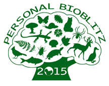 Personal Bioblitz 2015 logo