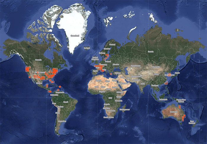 2025 Bioblitz world map.