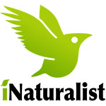 inaturalist logo