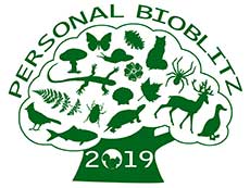Bioblitz 2019 logo, courtesy of Clayton Leadbetter